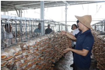 Khuyến nông Thành phố Hồ Chí Minh tham quan mô hình canh tác hữu cơ, ứng dụng năng lượng xanh và mã số vùng trồng trong nông nghiệp tại tỉnh Đắk-Lắk