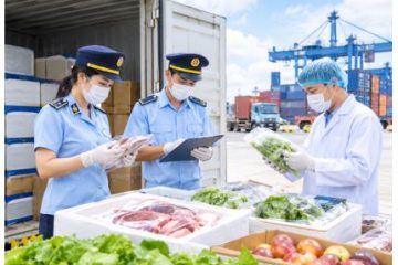 Tiếp tục triển khai nhiệm vụ kiểm tra nhà nước về an toàn thực phẩm đối với thực phẩm nhập khẩu