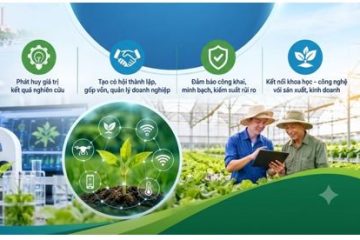 Thành phố Hồ Chí Minh thúc đẩy thương mại hóa kết quả nghiên cứu khoa học, công nghệ