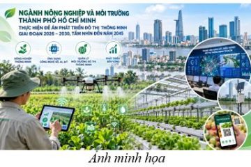 Ngành Nông nghiệp và Môi trường Thành phố Hồ Chí Minh thực hiện Đề án Phát triển đô thị thông minh giai đoạn 2026 – 2030, tầm nhìn đến năm 2045