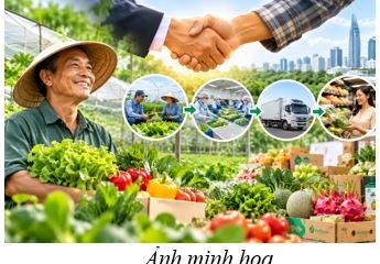 Thành phố Hồ Chí Minh quy định thẩm quyền phê duyệt hỗ trợ liên kết trong sản xuất và tiêu thụ sản phẩm nông nghiệp