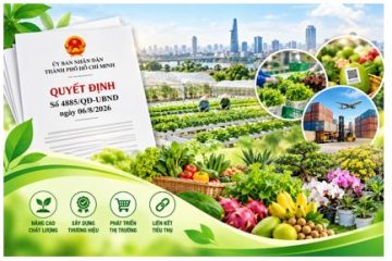 TP.HCM nâng cao chất lượng, giá trị nông sản gắn với phát triển thị trường giai đoạn 2026 – 2030