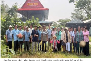 Khuyến nông Thành phố Hồ Chí Minh học tập mô hình nông nghiệp hữu cơ, tuần hoàn tại Đồng Tháp