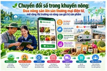 Chuyển đổi số trong khuyến nông: Đưa nông sản lên sàn thương mại điện tử, mở rộng thị trường và nâng cao giá trị sản phẩm